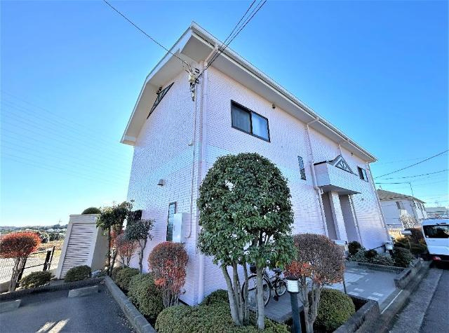 チェリーブロッサム
