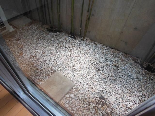 カーサアビエスの庭