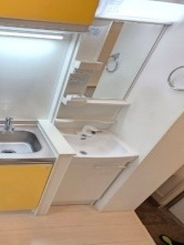 カロライナハイツの独立洗面台