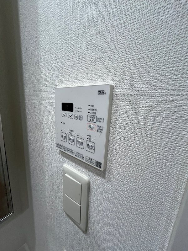MAXIV王子RICOTTのその他