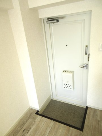 水入マンションの玄関