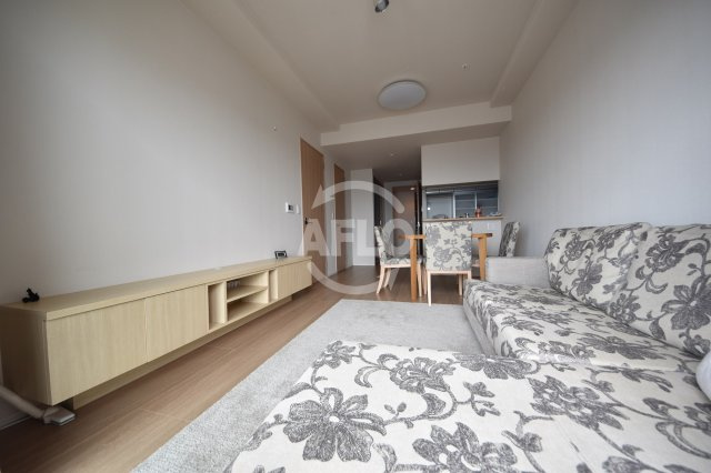 阿波座ライズタワーズフラッグ46　ＯＭＰタワーの居間・リビング|阿波座ライズタワーフラッグ46　リビング