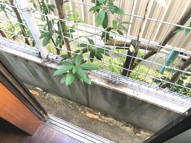 芦屋市浜町のアパートのバルコニー
