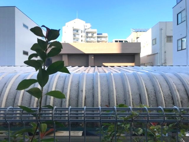 芦屋市浜町のアパートの展望