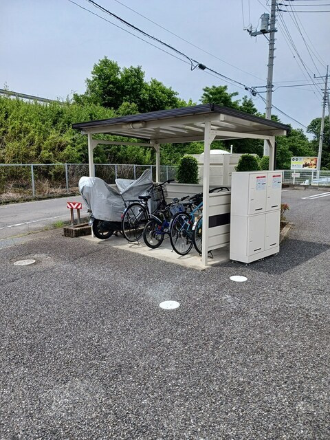ＥＶＥＲＧＲＥＥＮ　Ｍ．Ｔ．のその他