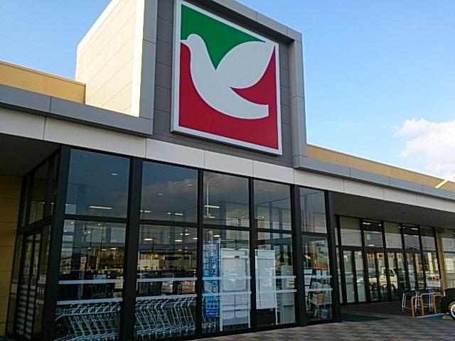 【周辺】 | リバーサイドビューパレスＫ | ヨークベニマル筑西横島店まで928ｍ