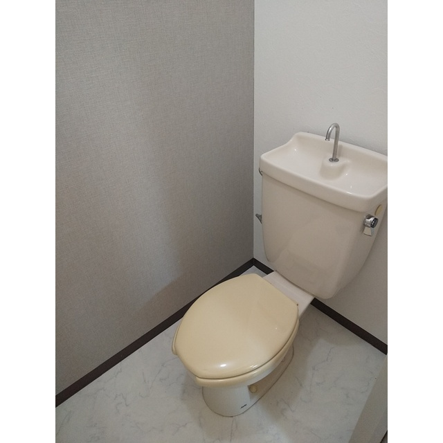 ドミール八代のトイレ