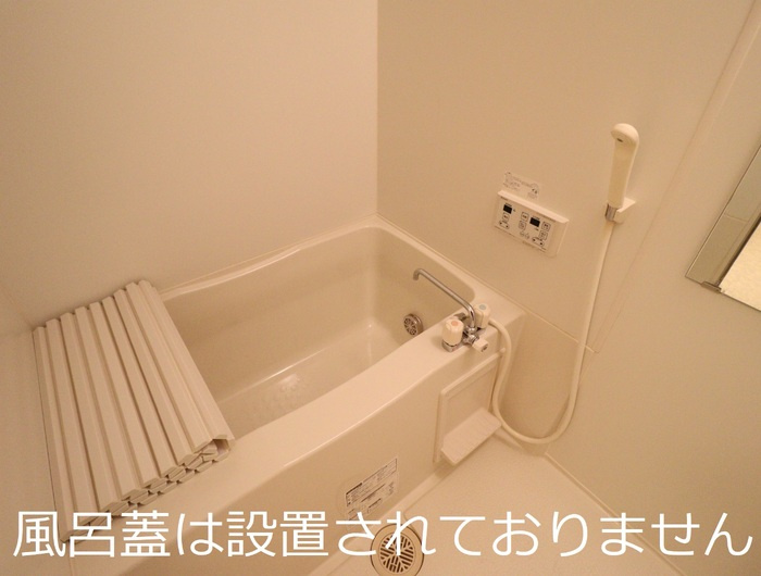 イーストヴィレッジ Aの浴室
