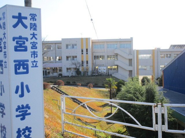 メゾンチェリーの周辺|市立大宮西小学校まで1100m