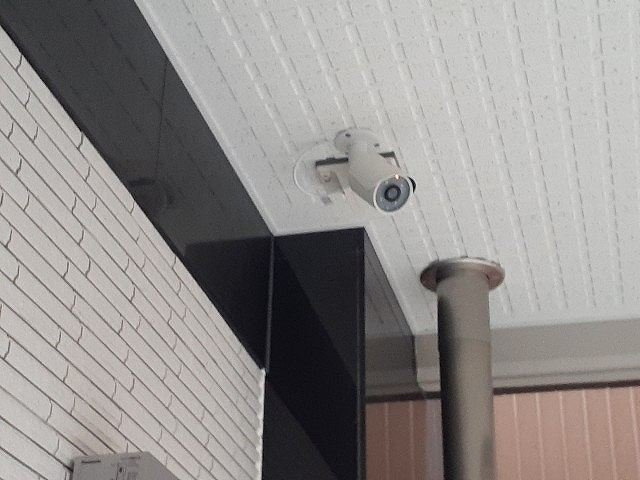 ラタンのその他