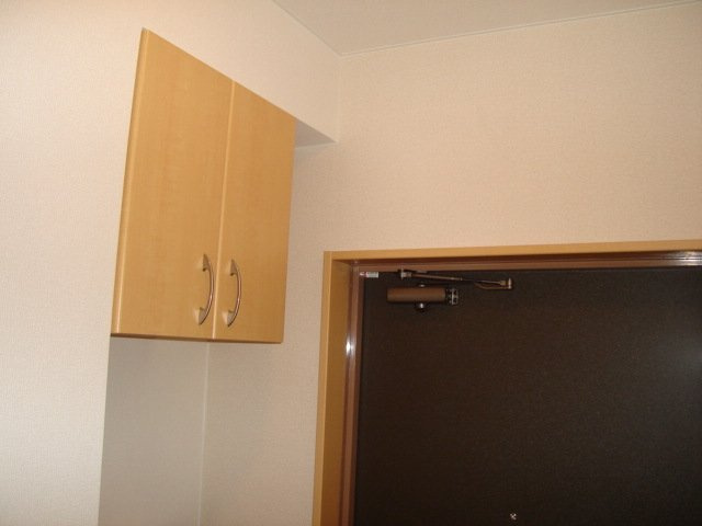 萌Ⅱの収納|下駄箱（上段）