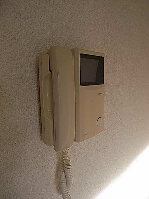 ストラスブールのセキュリティ