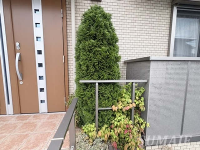 ラフルールドゥサクラのその他|植栽です☆