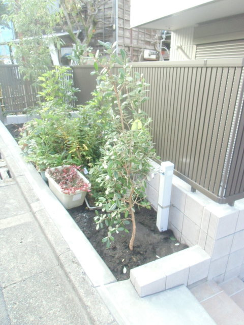 カントベールのその他|★植栽★