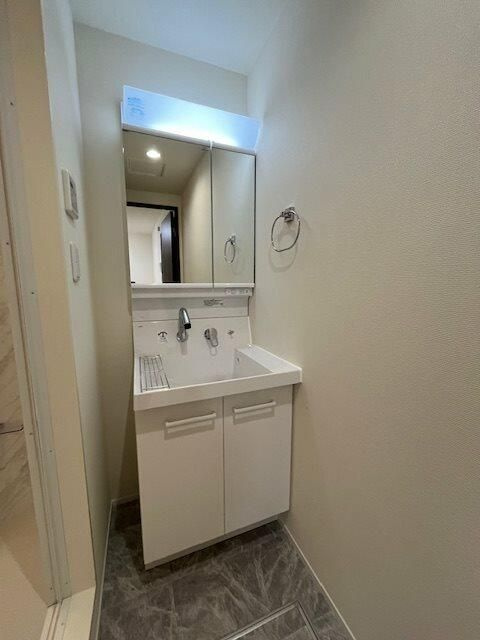 エリシアン三軒茶屋の洗面所