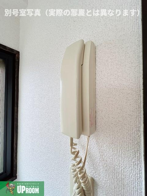 ソレアード伊藤のその他