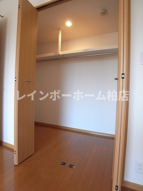 特典：仲介手数料が50％OFFです‼の収納|ウォークインクローゼットです