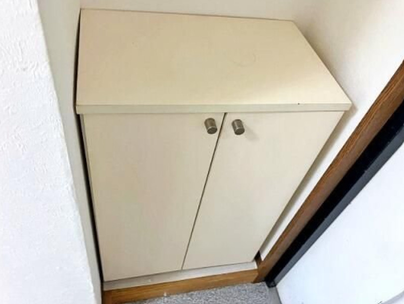 習志野市大久保３丁目の賃貸マンションの玄関