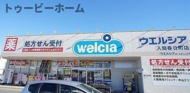 ラフィーネの周辺|ウエルシア入間春日町店まで1000m