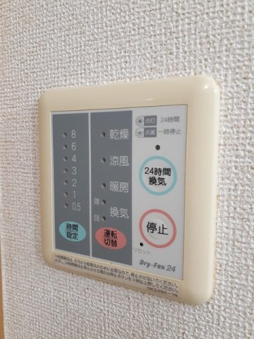 パンタナ－ルのその他