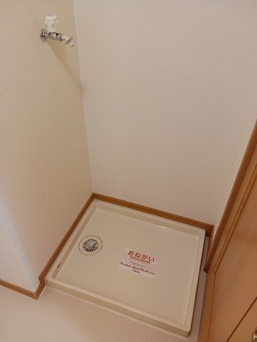 アンジェリカ　Ａのその他