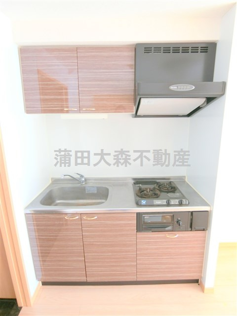 ルーブル蒲田南弐番館のキッチン|2口ガスグリル付システムキッチン