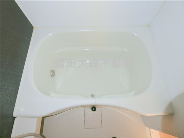 ルーブル蒲田南弐番館の浴室