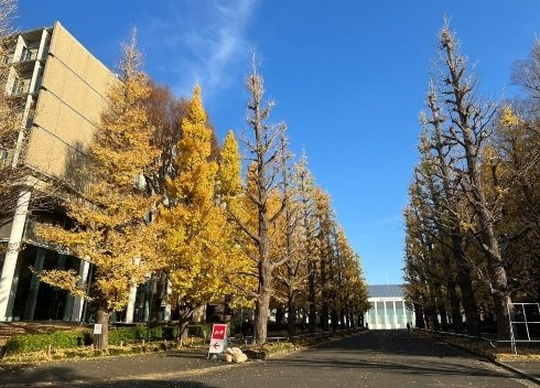 ジュネス日吉の周辺|慶應義塾大学 日吉キャンパスまで1400m