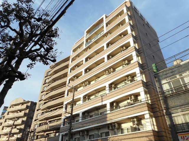 カンパニュラ