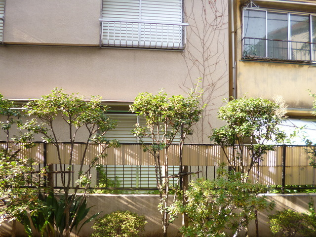 サンコートの展望|閑静な住宅街です。