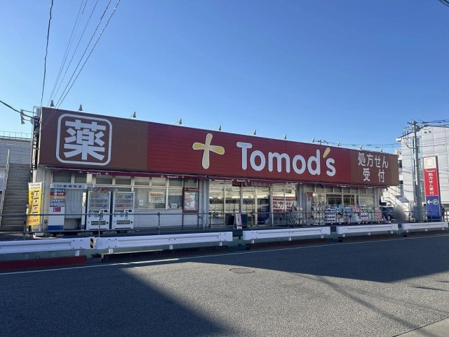 レオネクストテネレッツァの周辺