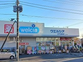 プラシードの周辺|ウエルシア江戸川鹿骨店まで862m