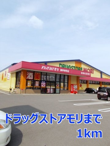 ステートリーマンション鷲崎の周辺|ドラッグストアモリまで1000m