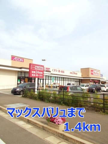 ステートリーマンション鷲崎の周辺|マックスバリュまで1400m