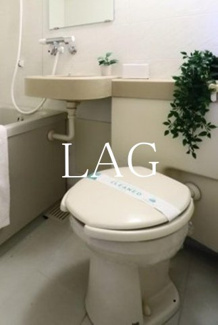 【トイレ】 | ダイアパレス錦糸町第５ | トイレです。