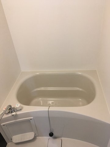 アークツルスの浴室