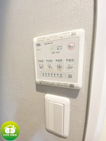 ディアレイシャス両国のその他