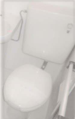 西多摩郡瑞穂町南平１丁目の賃貸マンションのトイレ