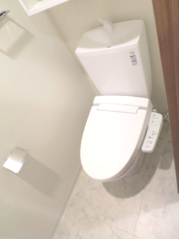 北区志茂３丁目の賃貸マンションのトイレ|トイレ