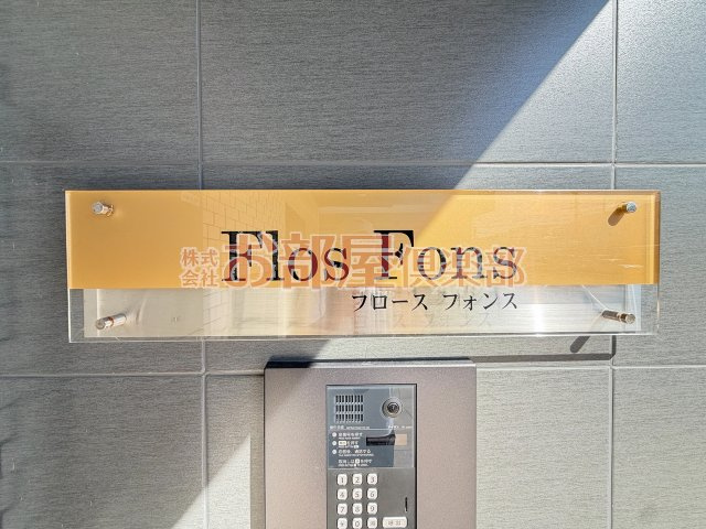 フロースフォンスのその他