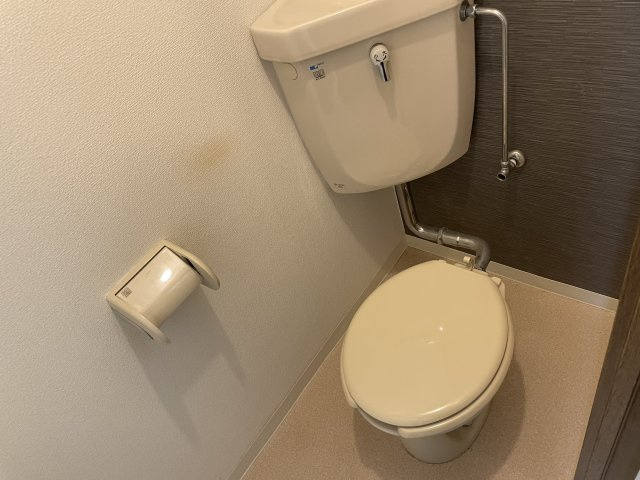 ラピス長柄のトイレ