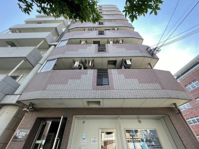 ラピス長柄の外観