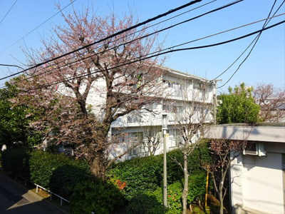 【展望】 | テラスブリーズ