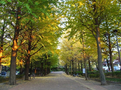 【周辺】 | 練馬区氷川台2丁目　新築戸建　7980万円 | 都立城北中央公園