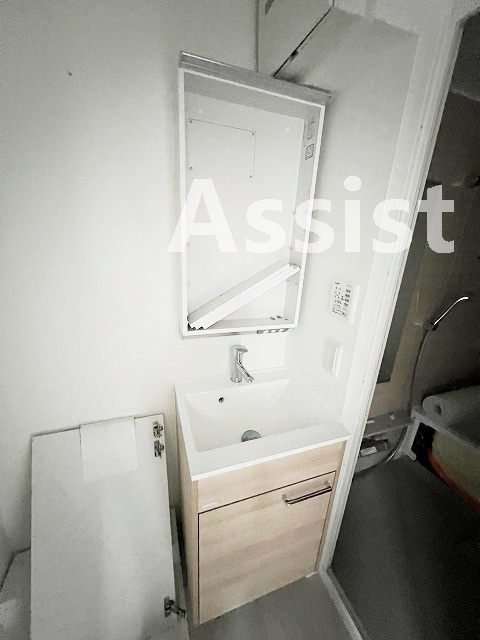 ソフィーネ西小山の独立洗面台