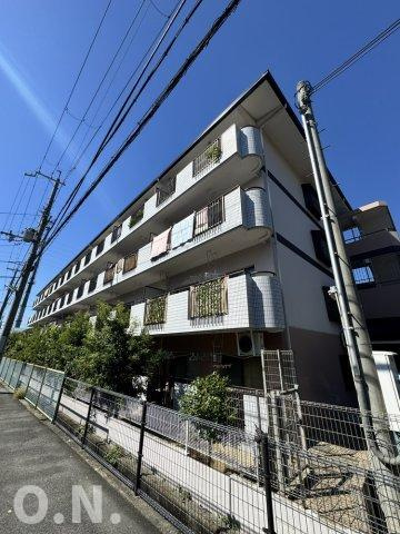 ガーデンフラットカメリア