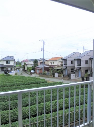 ビューラー田野倉の展望
