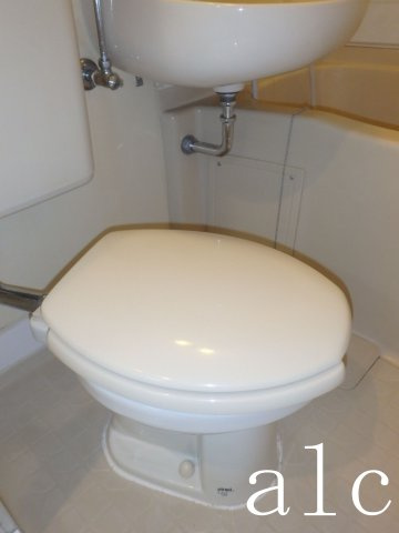 ブリティホワイトパレスⅡのトイレ|トイレです