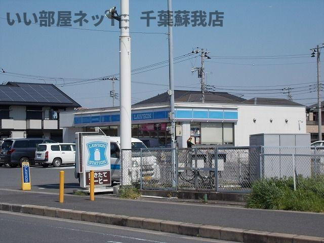 パールサマーのその他