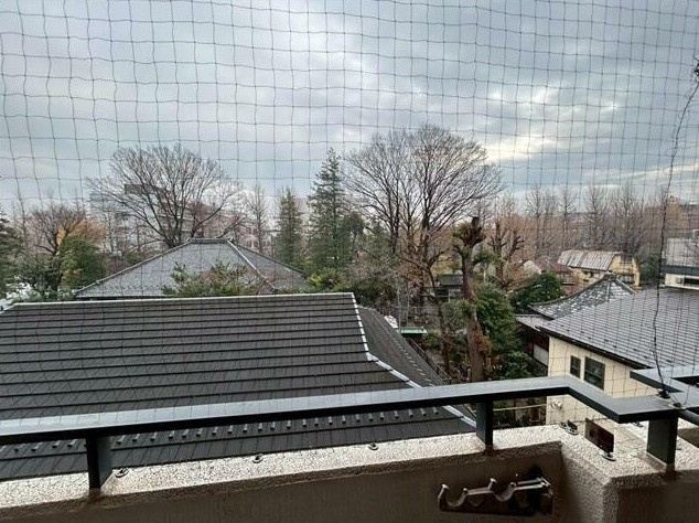 【展望】